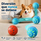 Boingo Ball