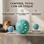 Boingo Ball