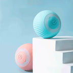Mini Boingo Ball